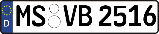 MS-VB2516