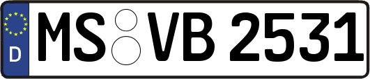 MS-VB2531