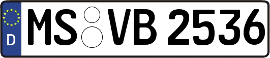MS-VB2536