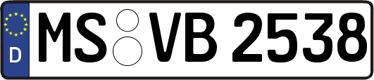 MS-VB2538