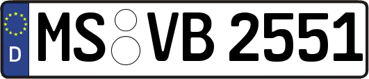 MS-VB2551