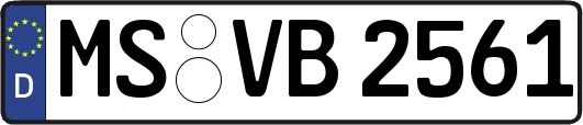 MS-VB2561