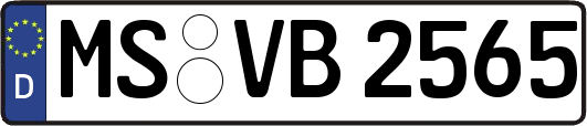 MS-VB2565