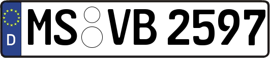 MS-VB2597