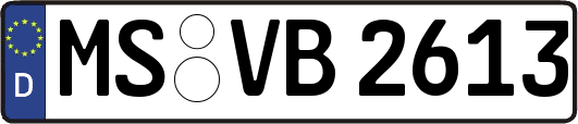 MS-VB2613