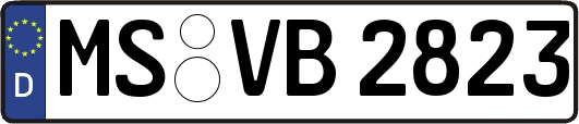 MS-VB2823