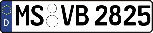 MS-VB2825