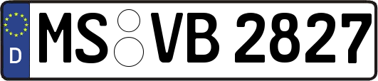 MS-VB2827