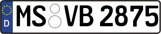 MS-VB2875