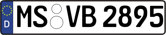 MS-VB2895