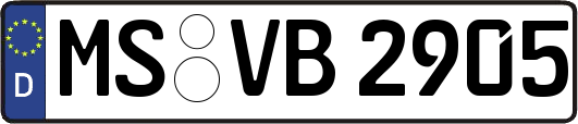 MS-VB2905