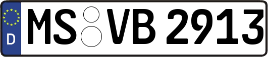 MS-VB2913