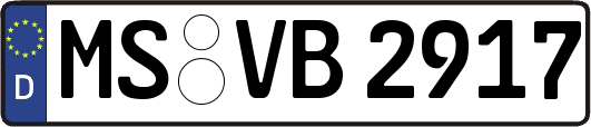 MS-VB2917
