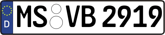MS-VB2919