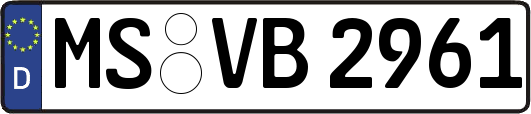MS-VB2961