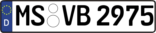 MS-VB2975
