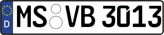 MS-VB3013