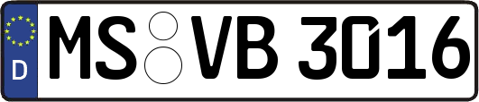 MS-VB3016