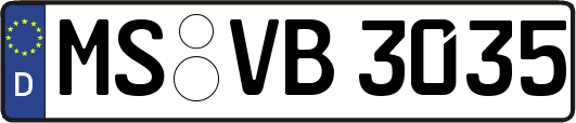 MS-VB3035