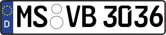 MS-VB3036