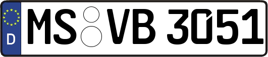 MS-VB3051