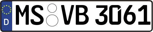 MS-VB3061