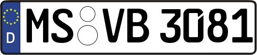 MS-VB3081