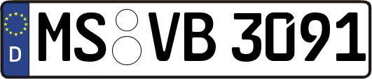 MS-VB3091