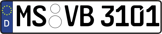 MS-VB3101