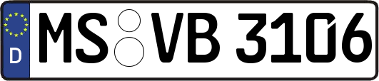 MS-VB3106