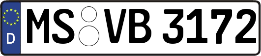 MS-VB3172