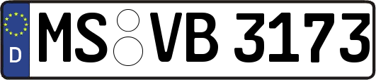 MS-VB3173