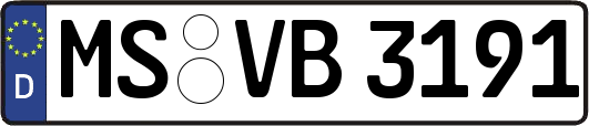 MS-VB3191