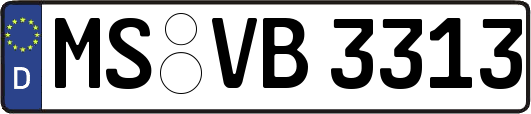 MS-VB3313