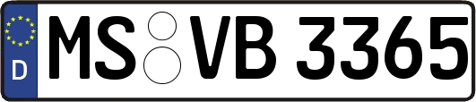 MS-VB3365