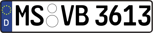MS-VB3613