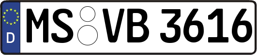 MS-VB3616