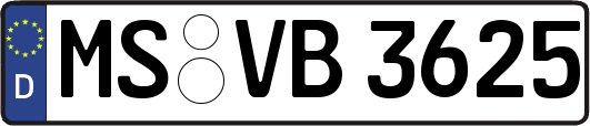 MS-VB3625
