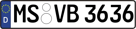 MS-VB3636