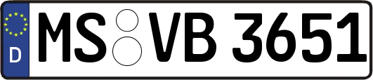 MS-VB3651