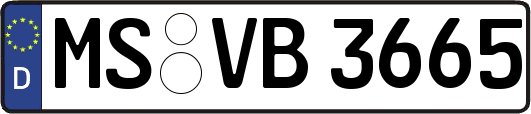 MS-VB3665