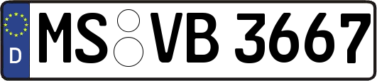 MS-VB3667