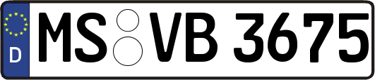 MS-VB3675