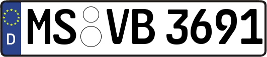 MS-VB3691
