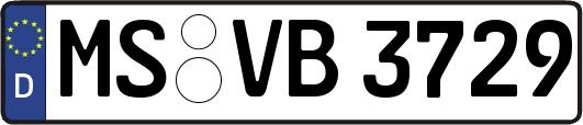 MS-VB3729