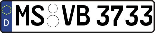 MS-VB3733
