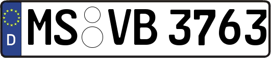 MS-VB3763