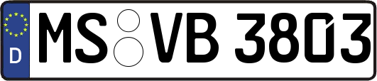 MS-VB3803