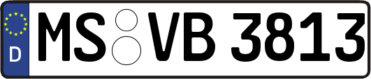 MS-VB3813