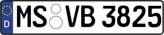 MS-VB3825